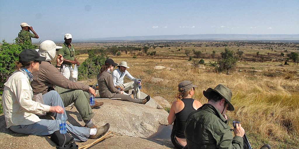 Group vs Private Safari: Which is Right for You