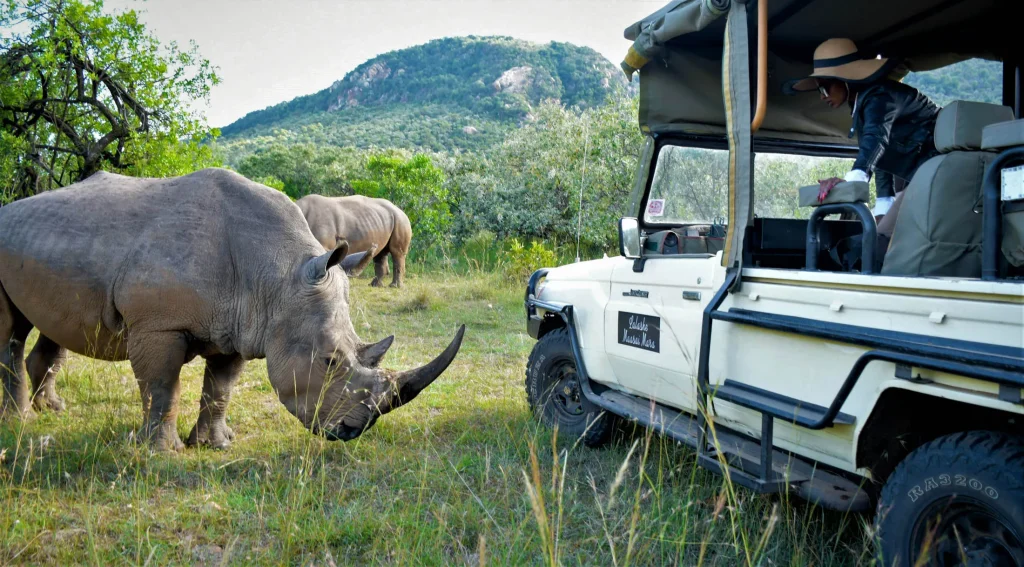 How Safe is a Safari in Tanzania?