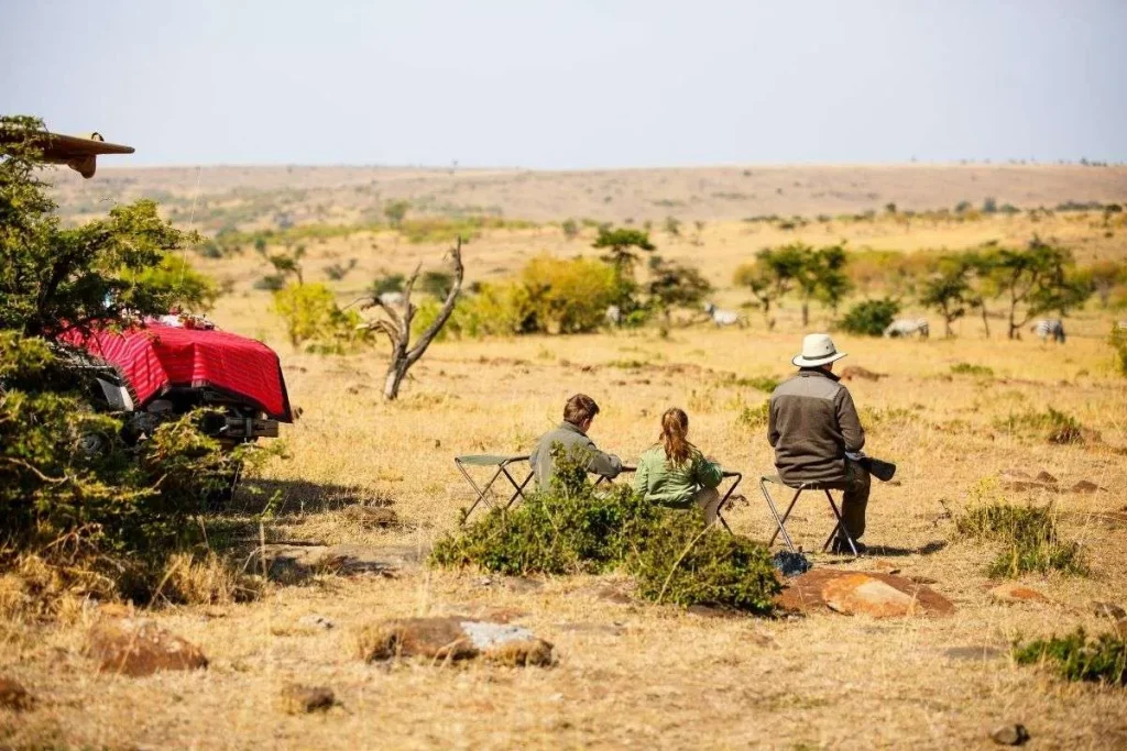 Private Tanzania Safari: Worth the Splurge?