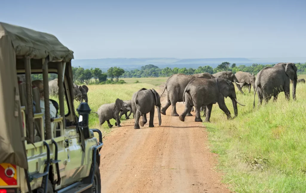 Tanzania Safari for Adventure Lovers