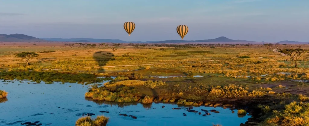 Unique Tanzania Safari Activities Beyond Game Drives