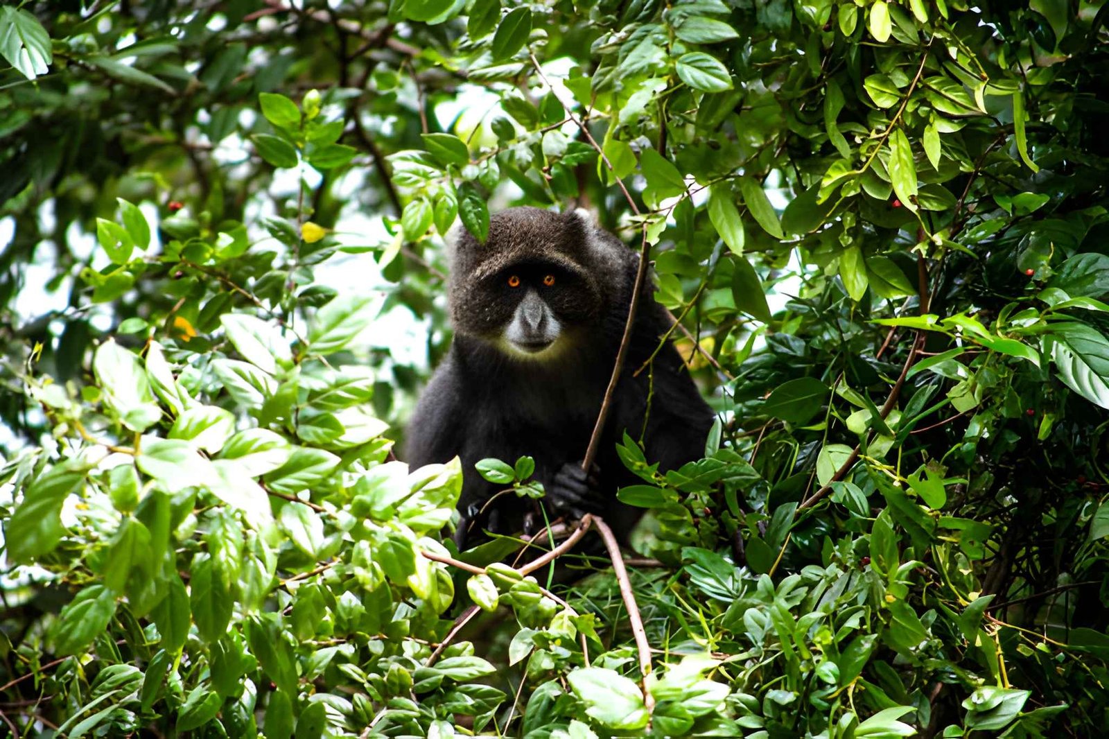 Arusha National Park 2-1