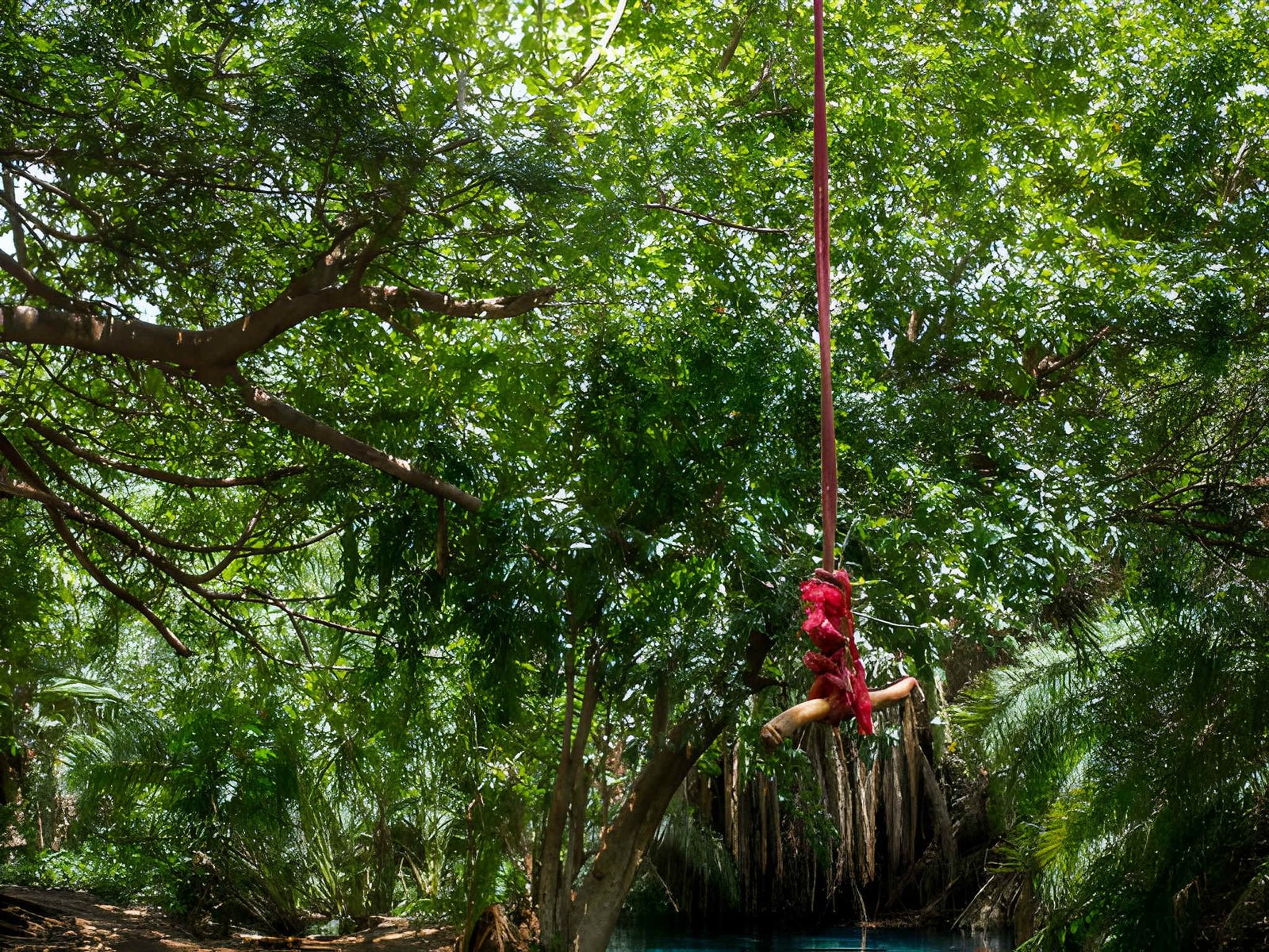 Kikuletwa Chemka Hot Springs 3
