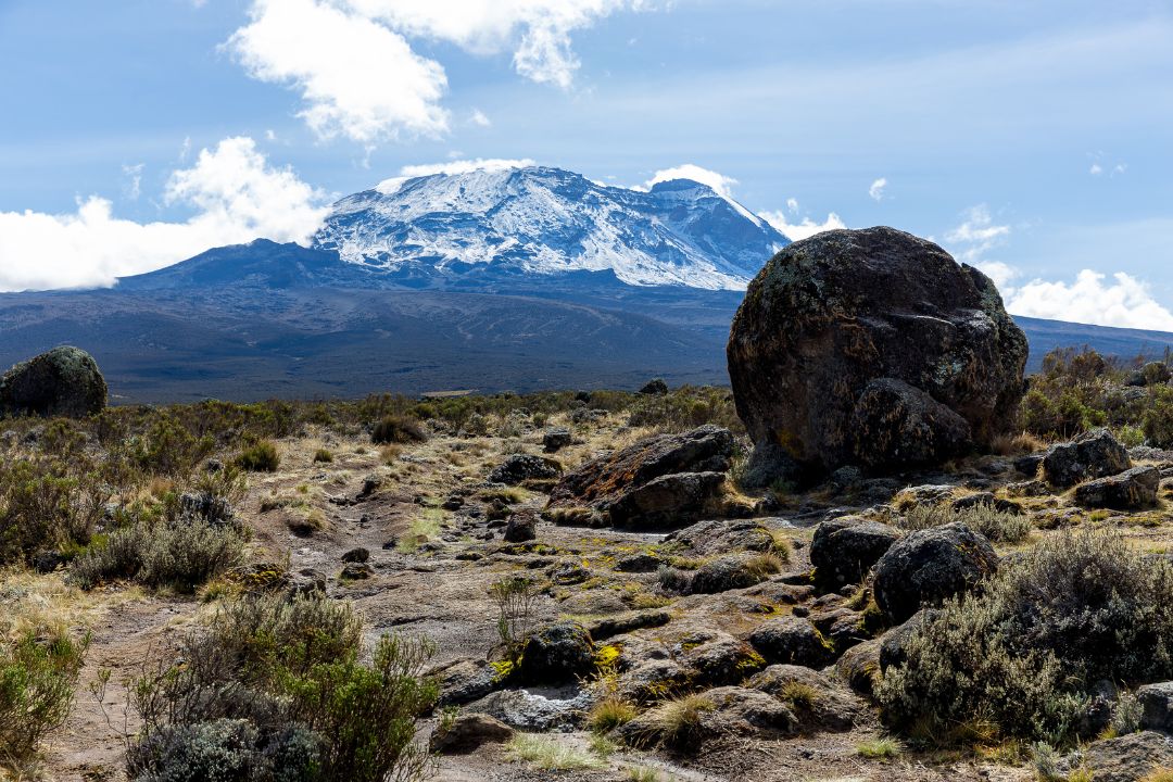 Lemosho Route Trekking