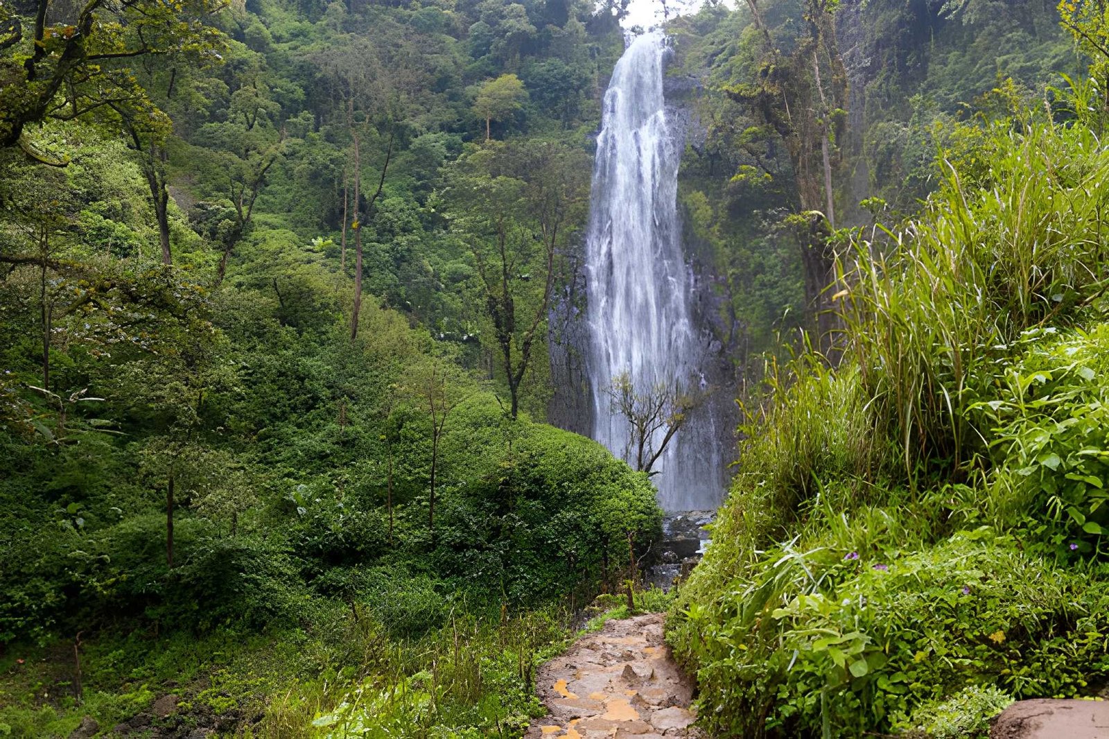 Materuni Waterfalls 2