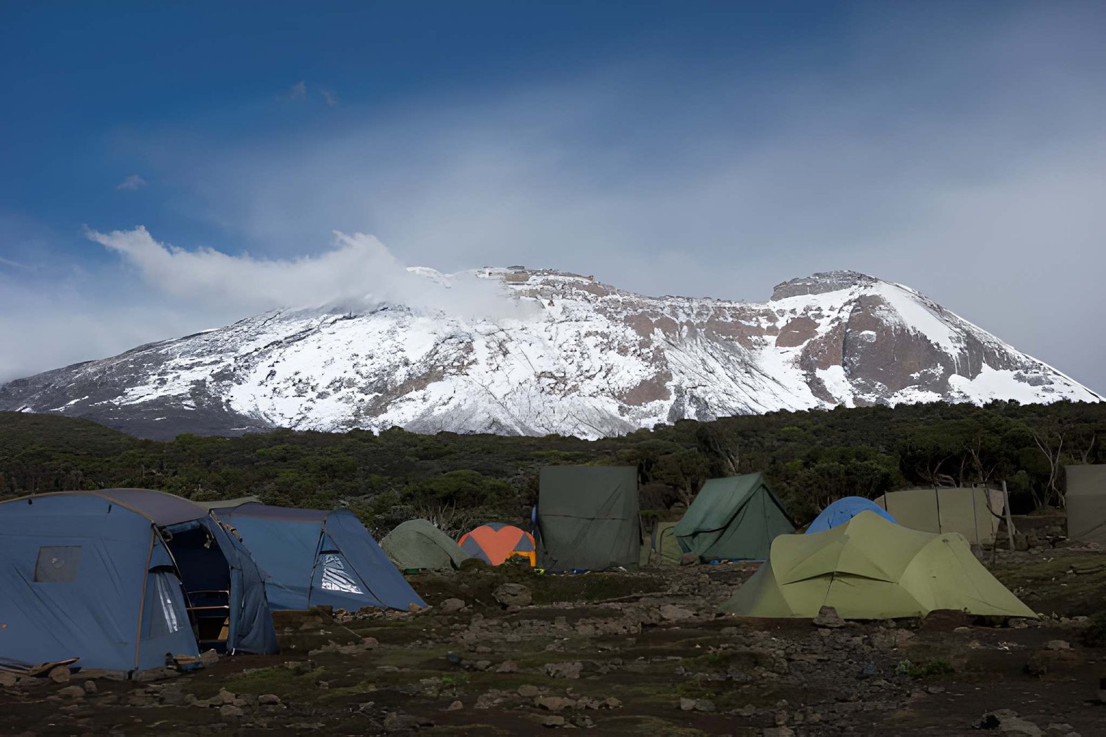 Mount Kilimanjaro Landscape Center