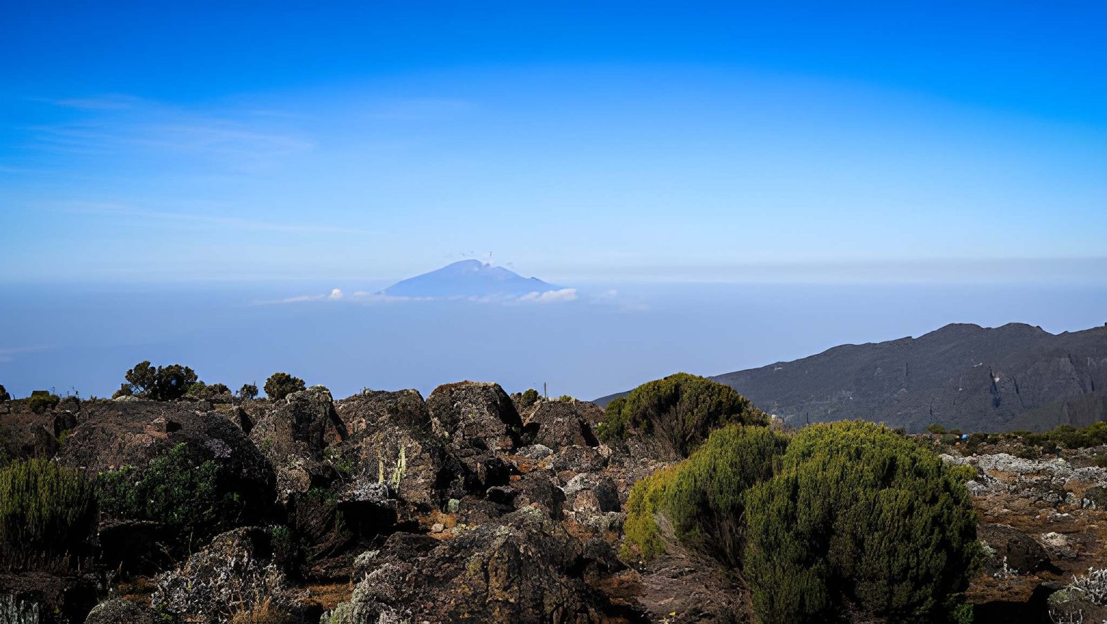 Mount Kilimanjaro Landscape Right