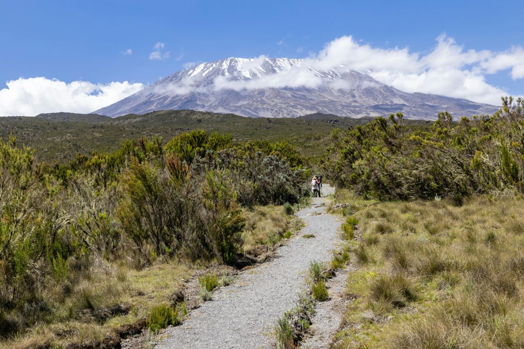 Mount Kilimanjaro Marangu Route