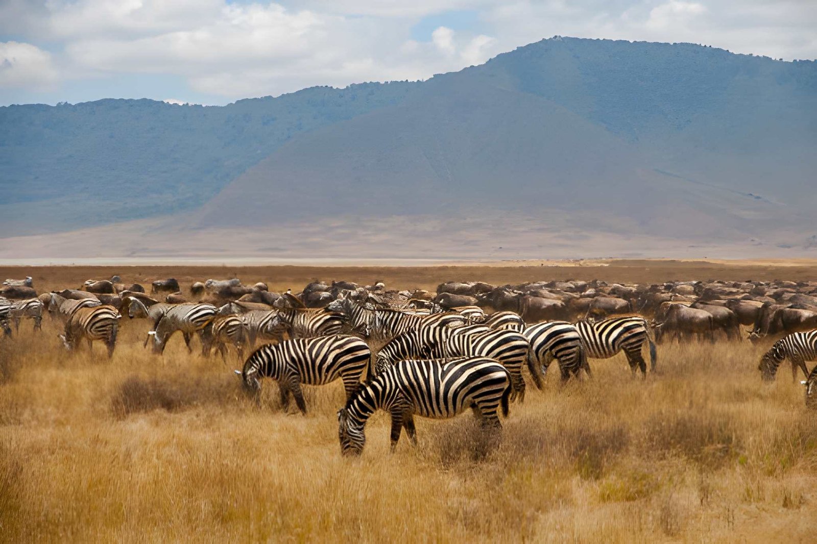 Ngorongoro Crater