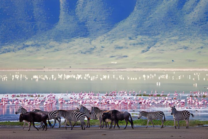 Ngorongoro cr (4)