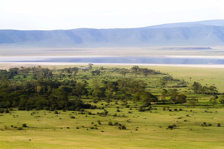 Ngorongoro relai forest