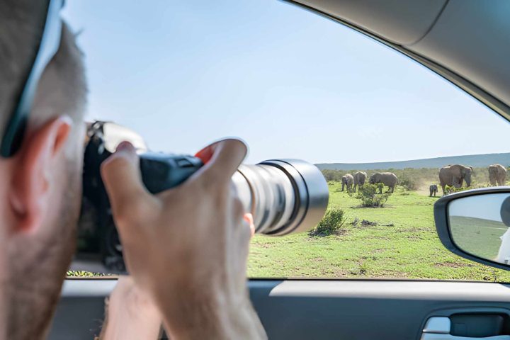 Photography safari (1)