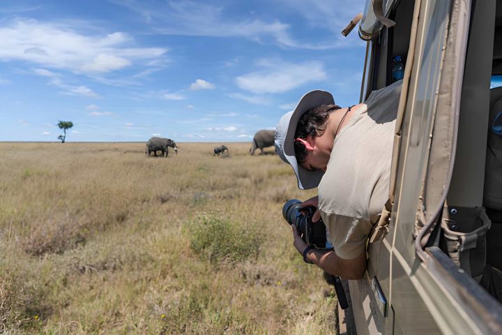 Photography safari (2)
