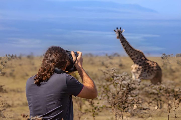 Photography safari (3)