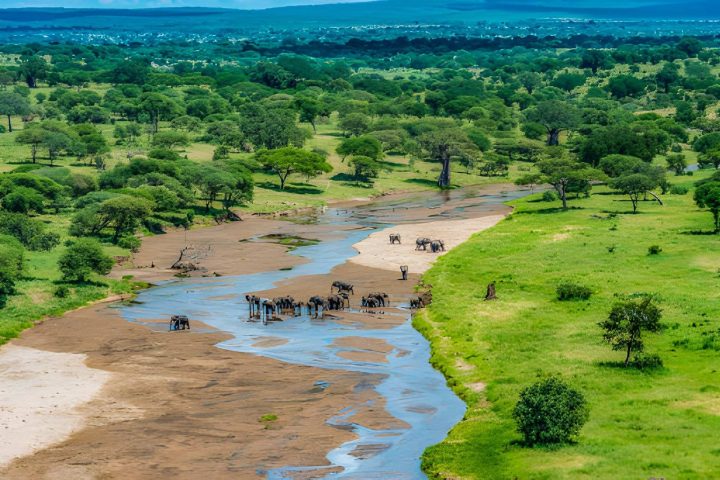 Tarangire River