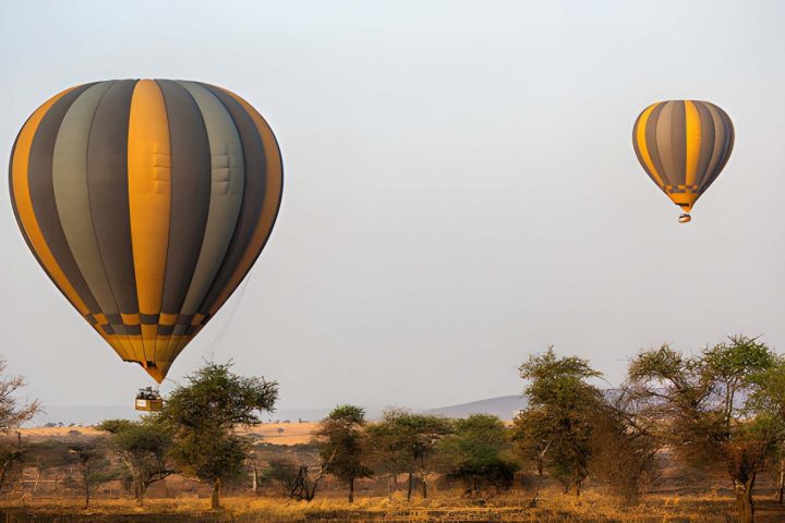 baloon safari (1)