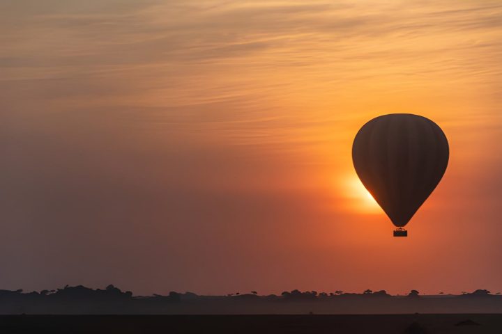 baloon safari (2)