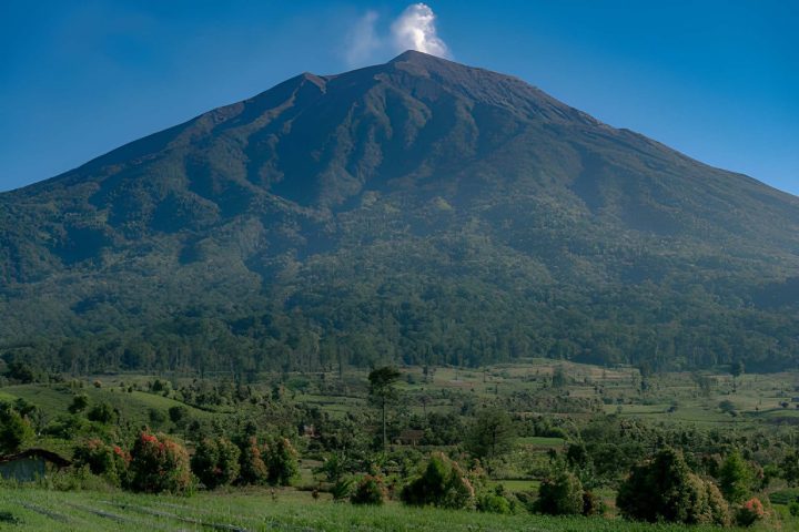 meru forest
